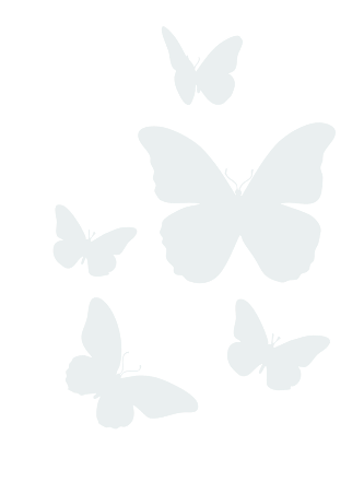 Butterfly Motif